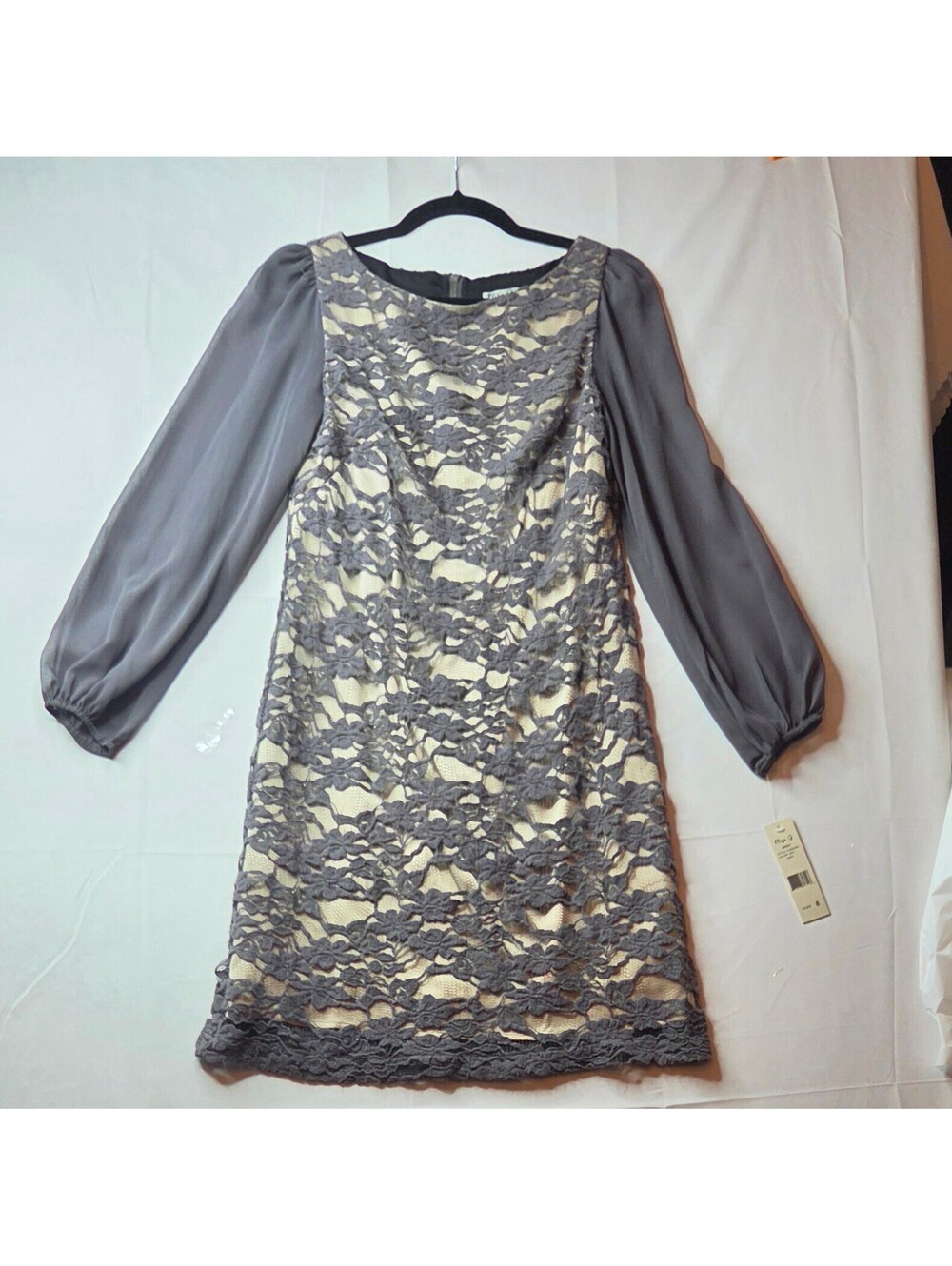 NWT Eliza J Gray Lace Shift Mini Dress Sheer Long Bishop Sleeve 6
